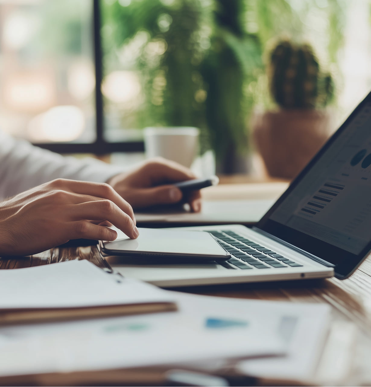 Contabilidade Digital